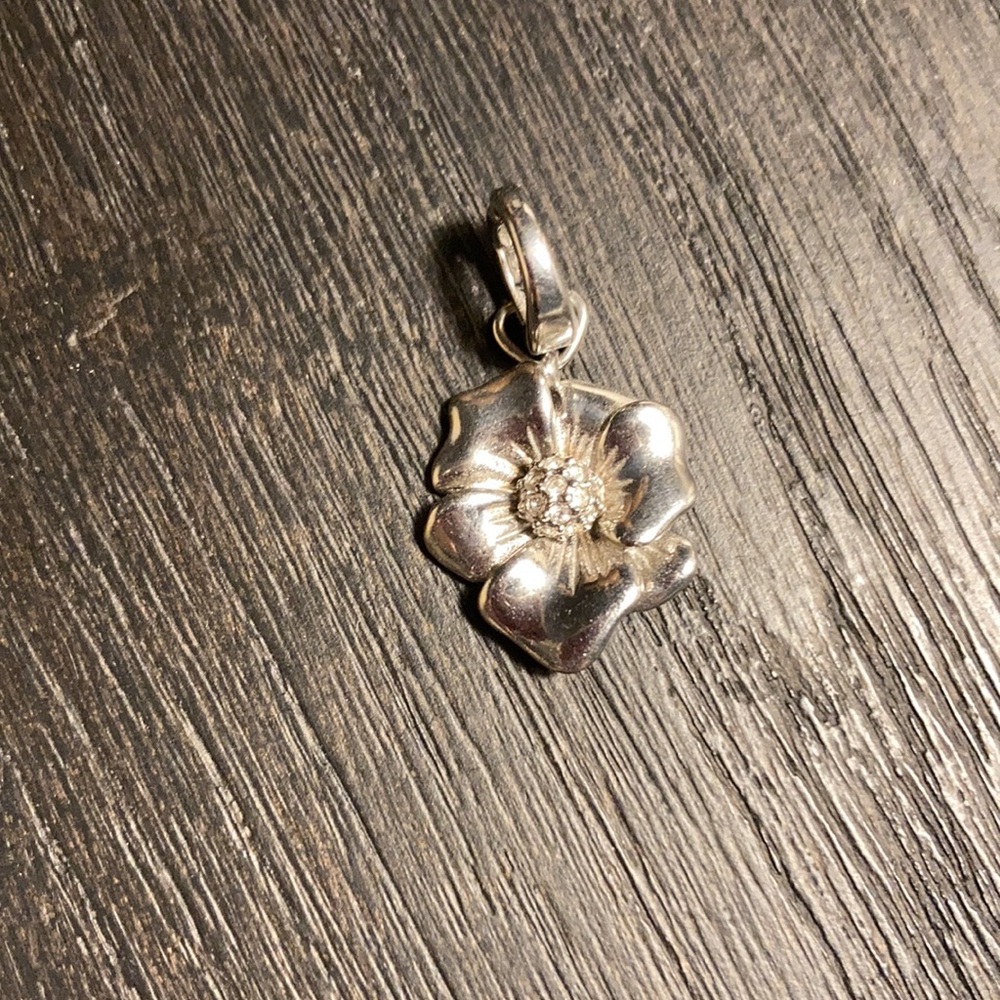 Fossil charm - Picture 5 of 5